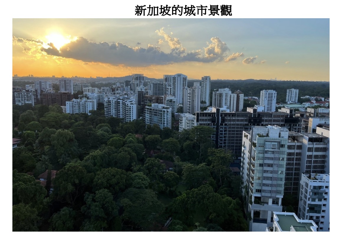 新加坡城市的景觀