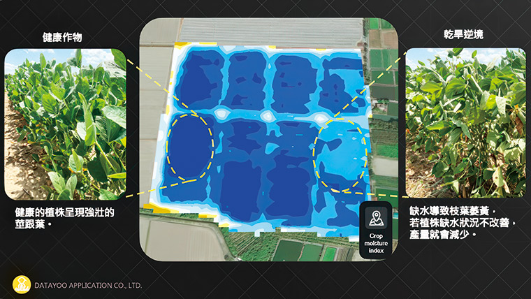 透過衛星資料進行光譜分析，可以看出農地與作物的含水量，進而調節進水量。（圖片來源：悠由數據提供）