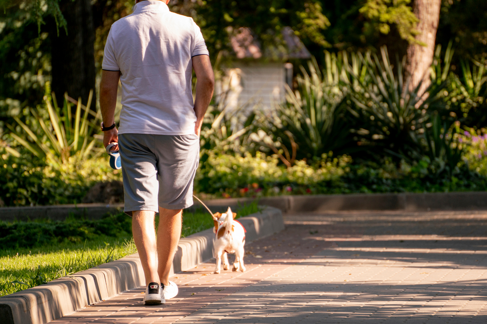 遛狗