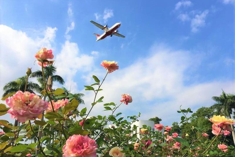 2026 臺北玫瑰展