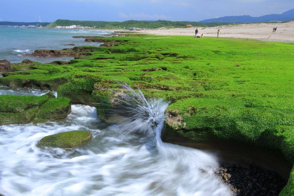 老梅綠石槽2026觀賞景象