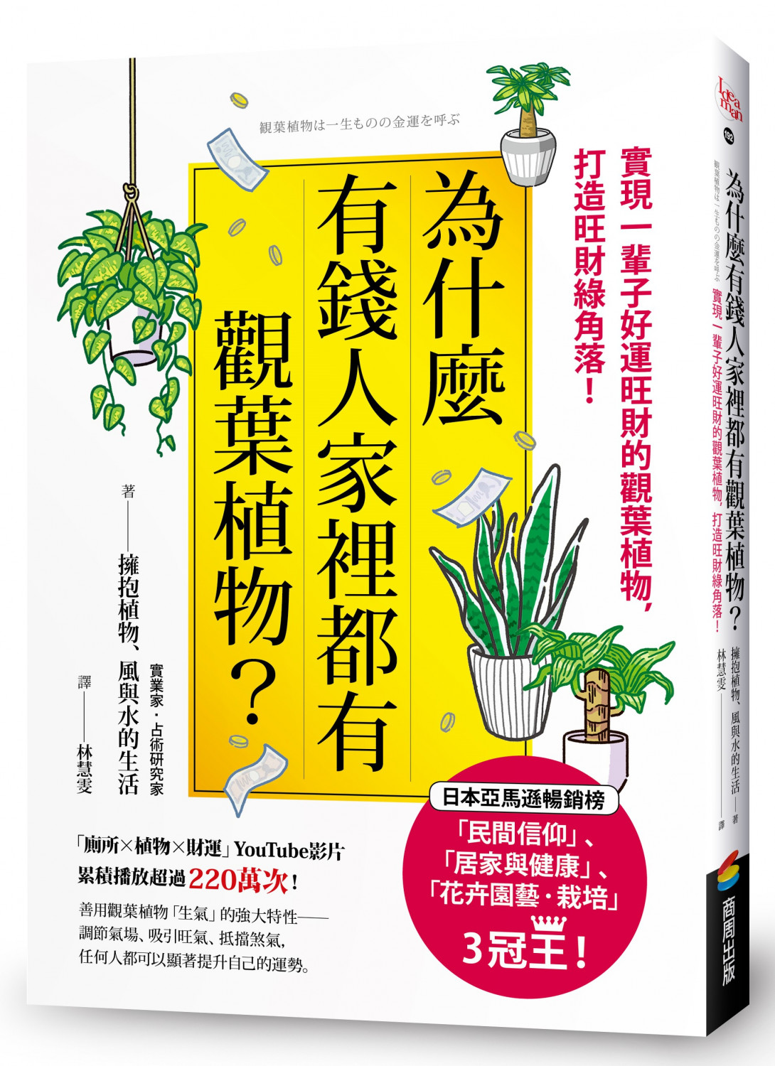 為什麼有錢人家裡都有觀葉植物？