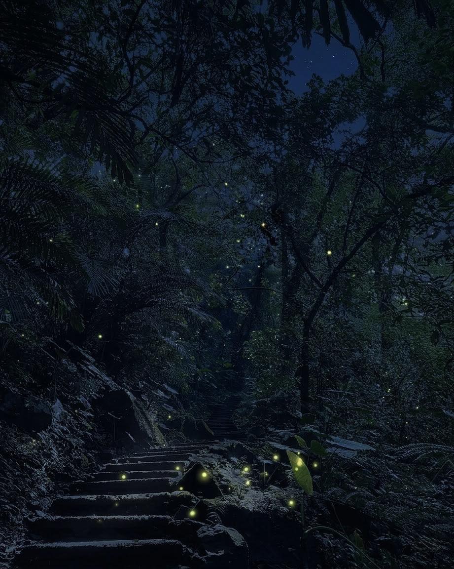 大板根森林溫泉酒店賞螢