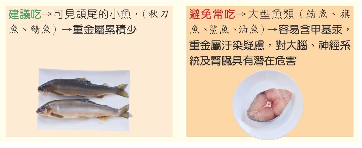 魚