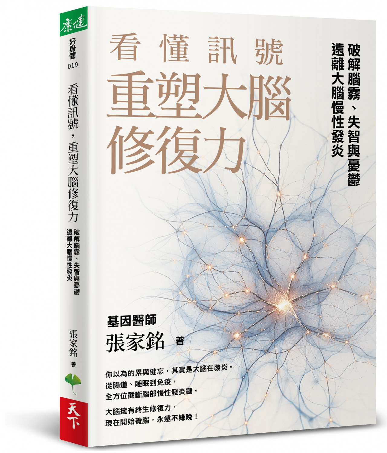 看懂訊號，重塑大腦修復力