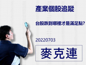 【麥克連】20220703產業個股追蹤：台股跌到哪裡才是滿足點？
