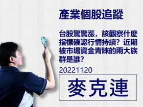 【麥克連】20221120產業個股追蹤：台股驚驚漲，該觀察什麼指標確認行情持續？近期被市場資金青睞的兩大族群是誰？