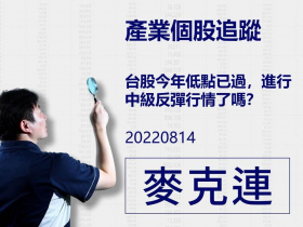 【麥克連】20220814產業個股追蹤：台股今年低點已過，進行中級反彈行情了嗎？